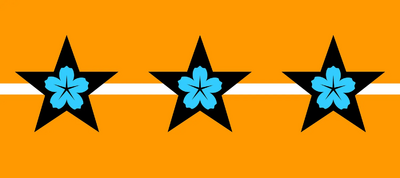 Flag Sahramina.webp